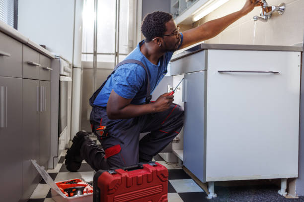 Best Local Plumber Services  in Shelton, CT
